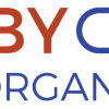 Logo projektu Weby pro organizace